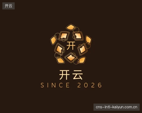 解读开云部门